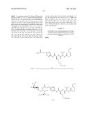 CONJUGATE COMPOUNDS diagram and image