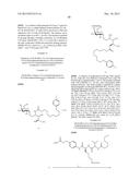 CONJUGATE COMPOUNDS diagram and image