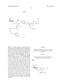 CONJUGATE COMPOUNDS diagram and image