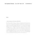 ANTIBODY-DRUG CONJUGATE PRODUCED BY BINDING THROUGH LINKER HAVING     HYDROPHILIC STRUCTURE diagram and image