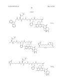 ANTIBODY-DRUG CONJUGATE PRODUCED BY BINDING THROUGH LINKER HAVING     HYDROPHILIC STRUCTURE diagram and image