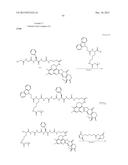 ANTIBODY-DRUG CONJUGATE PRODUCED BY BINDING THROUGH LINKER HAVING     HYDROPHILIC STRUCTURE diagram and image