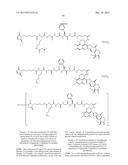 ANTIBODY-DRUG CONJUGATE PRODUCED BY BINDING THROUGH LINKER HAVING     HYDROPHILIC STRUCTURE diagram and image