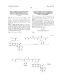 ANTIBODY-DRUG CONJUGATE PRODUCED BY BINDING THROUGH LINKER HAVING     HYDROPHILIC STRUCTURE diagram and image