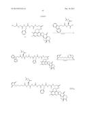 ANTIBODY-DRUG CONJUGATE PRODUCED BY BINDING THROUGH LINKER HAVING     HYDROPHILIC STRUCTURE diagram and image