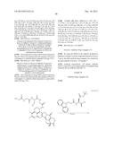 ANTIBODY-DRUG CONJUGATE PRODUCED BY BINDING THROUGH LINKER HAVING     HYDROPHILIC STRUCTURE diagram and image