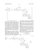 ANTIBODY-DRUG CONJUGATE PRODUCED BY BINDING THROUGH LINKER HAVING     HYDROPHILIC STRUCTURE diagram and image