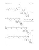 ANTIBODY-DRUG CONJUGATE PRODUCED BY BINDING THROUGH LINKER HAVING     HYDROPHILIC STRUCTURE diagram and image