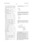 ANTIBODY-DRUG CONJUGATE PRODUCED BY BINDING THROUGH LINKER HAVING     HYDROPHILIC STRUCTURE diagram and image