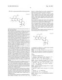 ANTIBODY-DRUG CONJUGATE PRODUCED BY BINDING THROUGH LINKER HAVING     HYDROPHILIC STRUCTURE diagram and image