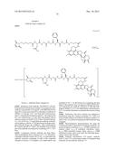 ANTIBODY-DRUG CONJUGATE PRODUCED BY BINDING THROUGH LINKER HAVING     HYDROPHILIC STRUCTURE diagram and image