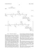 ANTIBODY-DRUG CONJUGATE PRODUCED BY BINDING THROUGH LINKER HAVING     HYDROPHILIC STRUCTURE diagram and image