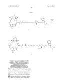 Anti-Her2 Antibody-Maytansine Conjugates and Methods of Use Thereof diagram and image