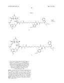 Anti-Her2 Antibody-Maytansine Conjugates and Methods of Use Thereof diagram and image