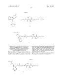 Anti-Her2 Antibody-Maytansine Conjugates and Methods of Use Thereof diagram and image