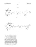 Anti-Her2 Antibody-Maytansine Conjugates and Methods of Use Thereof diagram and image