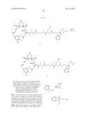 Anti-Her2 Antibody-Maytansine Conjugates and Methods of Use Thereof diagram and image