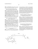 Anti-Her2 Antibody-Maytansine Conjugates and Methods of Use Thereof diagram and image