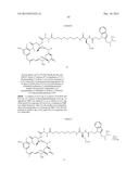 Anti-Her2 Antibody-Maytansine Conjugates and Methods of Use Thereof diagram and image