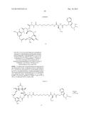 Anti-Her2 Antibody-Maytansine Conjugates and Methods of Use Thereof diagram and image