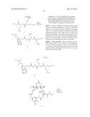 Anti-Her2 Antibody-Maytansine Conjugates and Methods of Use Thereof diagram and image