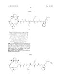 Anti-Her2 Antibody-Maytansine Conjugates and Methods of Use Thereof diagram and image