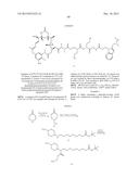 Anti-Her2 Antibody-Maytansine Conjugates and Methods of Use Thereof diagram and image