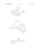 Anti-Her2 Antibody-Maytansine Conjugates and Methods of Use Thereof diagram and image