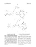 Anti-Her2 Antibody-Maytansine Conjugates and Methods of Use Thereof diagram and image