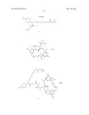 Anti-Her2 Antibody-Maytansine Conjugates and Methods of Use Thereof diagram and image