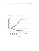 Anti-Her2 Antibody-Maytansine Conjugates and Methods of Use Thereof diagram and image