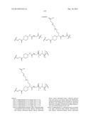 Anti-Her2 Antibody-Maytansine Conjugates and Methods of Use Thereof diagram and image