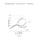 Anti-Her2 Antibody-Maytansine Conjugates and Methods of Use Thereof diagram and image