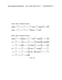 Anti-Her2 Antibody-Maytansine Conjugates and Methods of Use Thereof diagram and image