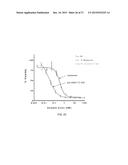 Anti-Her2 Antibody-Maytansine Conjugates and Methods of Use Thereof diagram and image