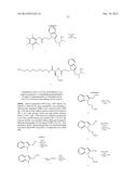 Anti-Her2 Antibody-Maytansine Conjugates and Methods of Use Thereof diagram and image