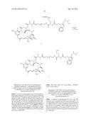 Anti-Her2 Antibody-Maytansine Conjugates and Methods of Use Thereof diagram and image