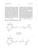 Anti-Her2 Antibody-Maytansine Conjugates and Methods of Use Thereof diagram and image