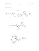 Anti-Her2 Antibody-Maytansine Conjugates and Methods of Use Thereof diagram and image