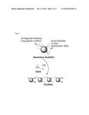 SYNTHESIS AND ISOLATION OF DENDRIMER BASED IMAGING SYSTEMS diagram and image