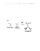 SYNTHESIS AND ISOLATION OF DENDRIMER BASED IMAGING SYSTEMS diagram and image