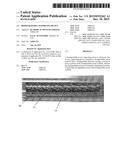 BIODEGRADABLE SUPPORTING DEVICE diagram and image