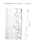 METHOD FOR MANUFACTURING SULFONE POLYMER MEMBRANE diagram and image