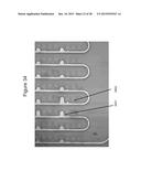 Isolating Microfluidic Structures and Trapping Bubbles diagram and image