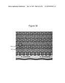 Isolating Microfluidic Structures and Trapping Bubbles diagram and image