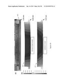 DISTORTION PREDICTION AND MINIMISATION IN ADDITIVE MANUFACTURING diagram and image