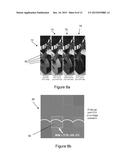 OPTICALLY VARIABLE COLOUR IMAGE diagram and image