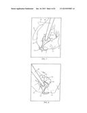 GRIP FOR HAND-HELD TOOLS AND METHOD OF USING THE SAME diagram and image