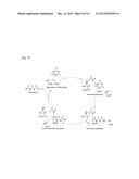 COMPOSITIONS, DEVICES, AND METHODS INVOLVING DEGRADATION OF CYANURIC ACID diagram and image