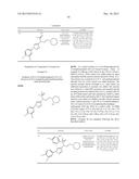 1,2,3-TRIAZOLE-4-AMINE DERIVATIVES FOR THE TREATMENT OF SIGMA RECEPTOR     RELATED DISEASES AND DISORDERS diagram and image